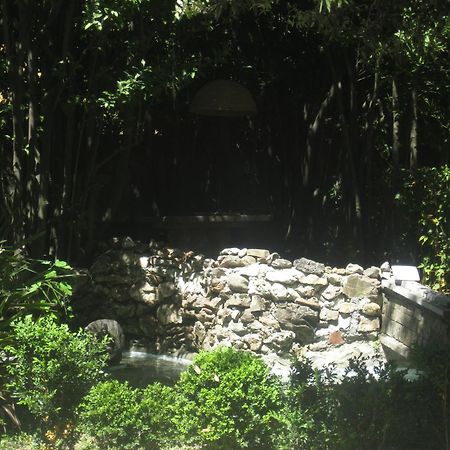 Villa Patrizia B&B ルッカ エクステリア 写真